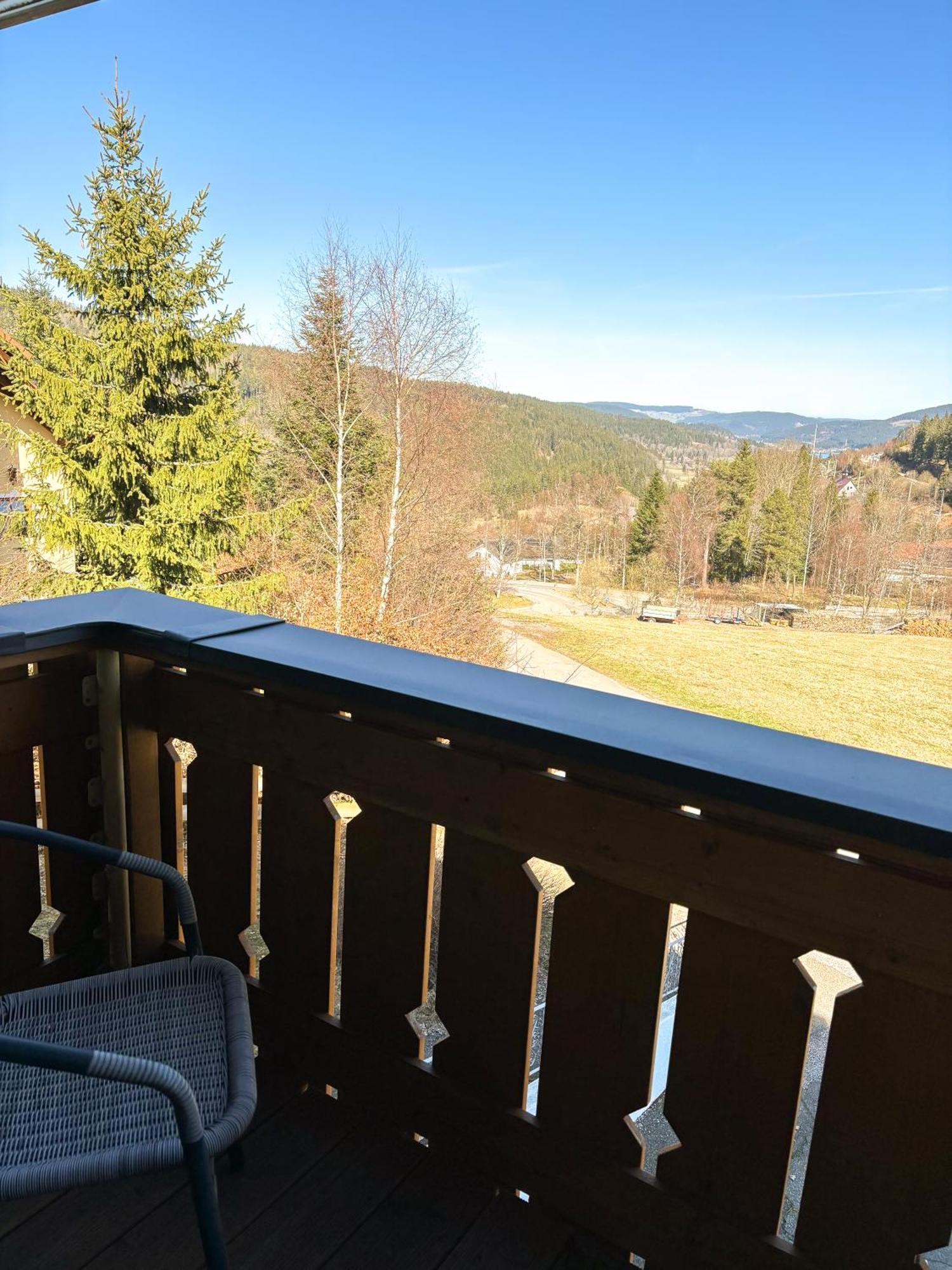 Schwarzwald-Chalet Feldberg Фельдберг Екстер'єр фото