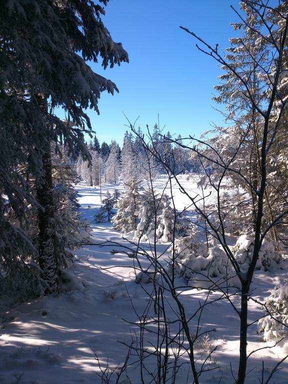 Schwarzwald-Chalet Feldberg Фельдберг Екстер'єр фото