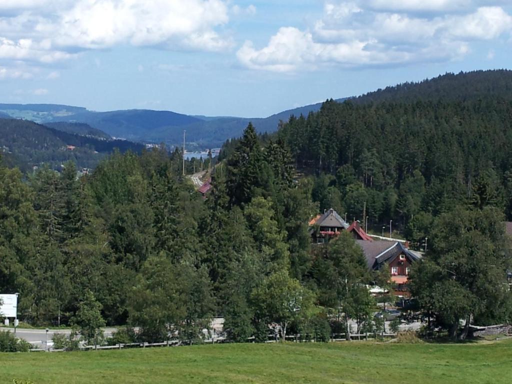Schwarzwald-Chalet Feldberg Фельдберг Екстер'єр фото